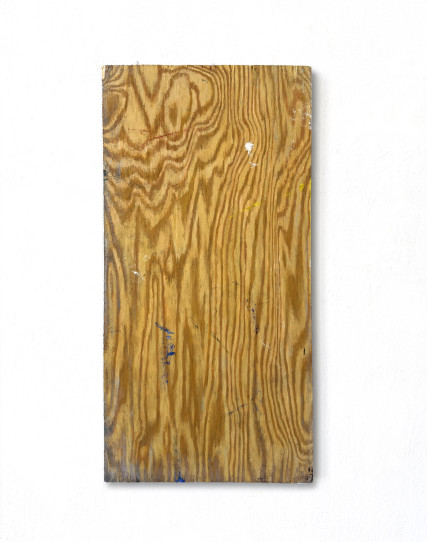 decor#14  2026  50 x 25 cm  Ö