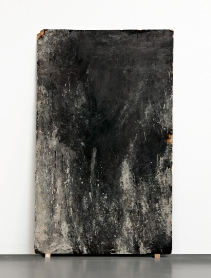 masonite, 2008 204 x 125 cm Ac